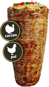 carne-kebab-curcan-si-pui
